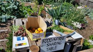 Photo: Paul Sargeant